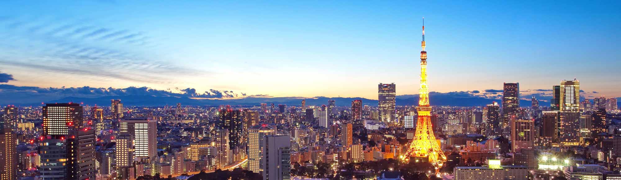 新宿の夜景
